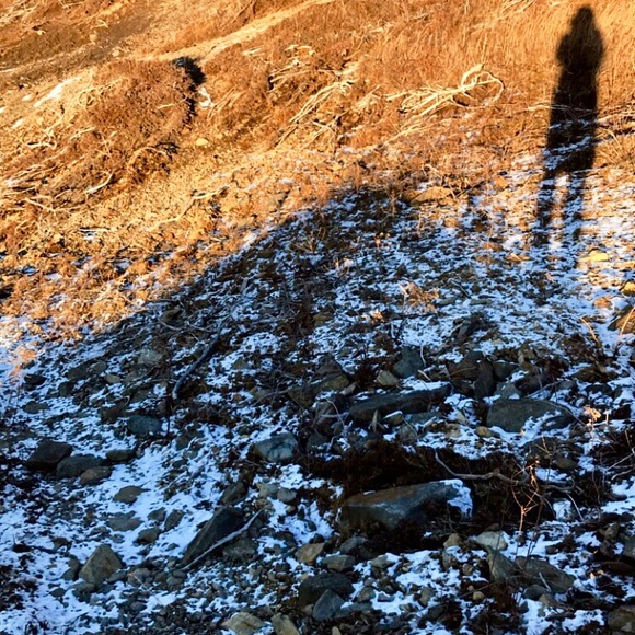 Meet your Posher, Morgan - Picture 1 of 1